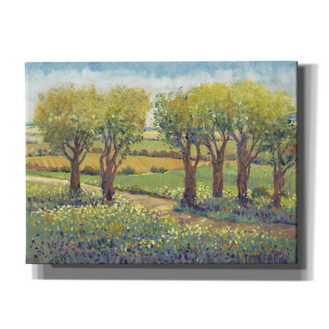 Image of 'Garden Path I' by Tim O'Toole, Canvas Wall Art