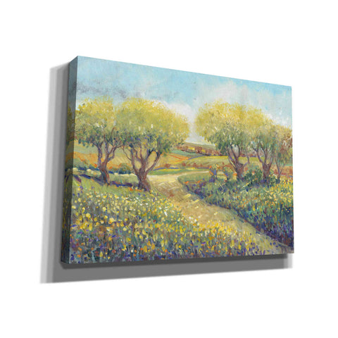 Image of 'Garden Path II' by Tim O'Toole, Canvas Wall Art