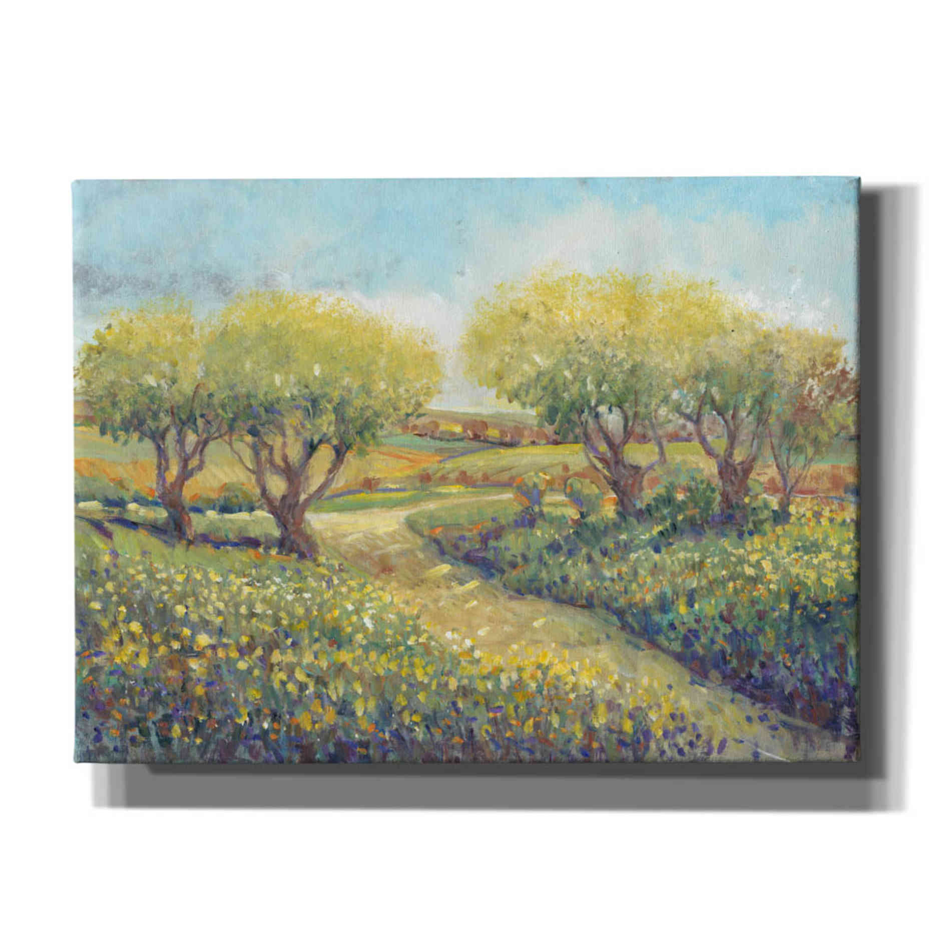 'Garden Path II' by Tim O'Toole, Canvas Wall Art