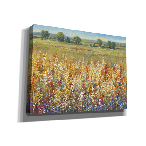 Image of 'Gold and Red Field I' by Tim O'Toole, Canvas Wall Art