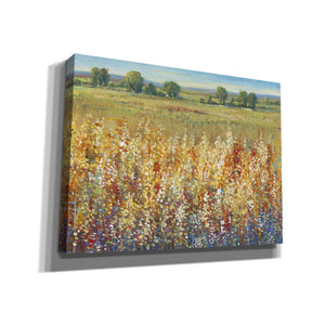 'Gold and Red Field I' by Tim O'Toole, Canvas Wall Art