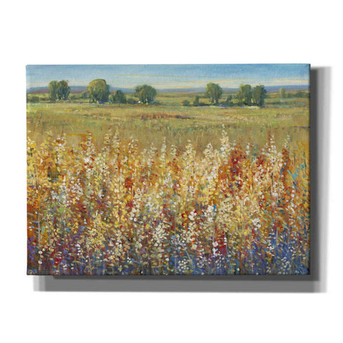 Image of 'Gold and Red Field I' by Tim O'Toole, Canvas Wall Art