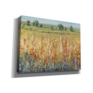'Gold and Red Field II' by Tim O'Toole, Canvas Wall Art