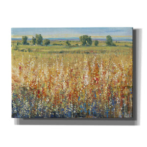 'Gold and Red Field II' by Tim O'Toole, Canvas Wall Art