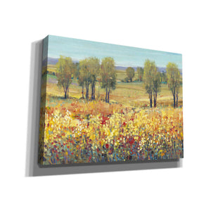 'Golden Fields I' by Tim O'Toole, Canvas Wall Art