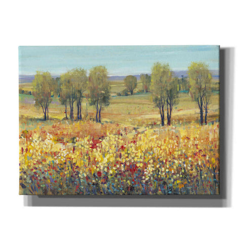 Image of 'Golden Fields I' by Tim O'Toole, Canvas Wall Art