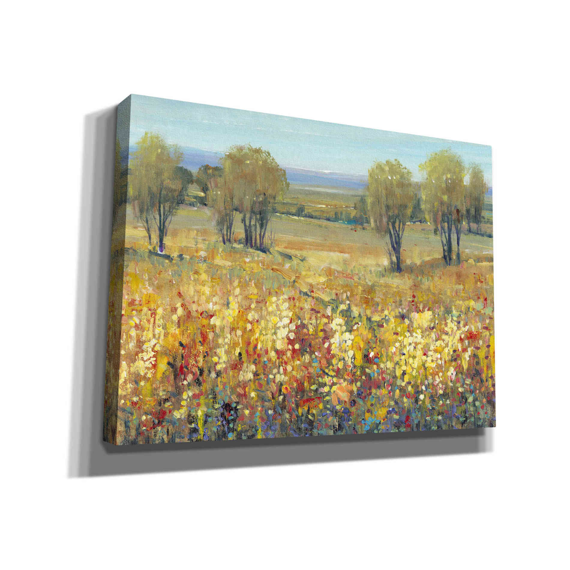 'Golden Fields II' by Tim O'Toole, Canvas Wall Art