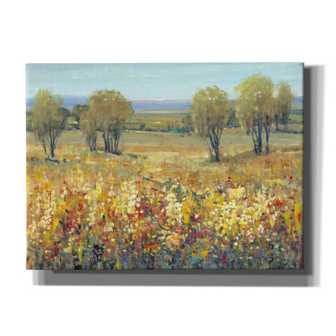 Image of 'Golden Fields II' by Tim O'Toole, Canvas Wall Art