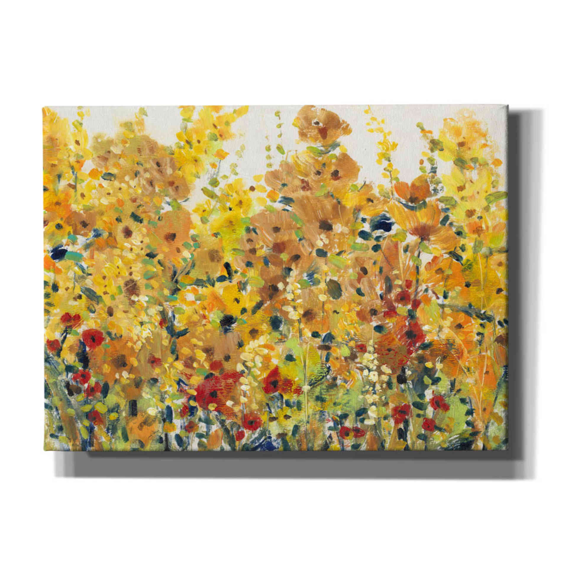 'Golden Summer Garden I' by Tim O'Toole, Canvas Wall Art