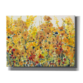 'Golden Summer Garden I' by Tim O'Toole, Canvas Wall Art