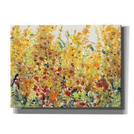 'Golden Summer Garden II' by Tim O'Toole, Canvas Wall Art