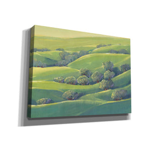 'Hillside View I' by Tim O'Toole, Canvas Wall Art