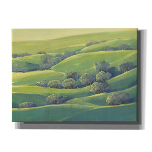 'Hillside View I' by Tim O'Toole, Canvas Wall Art