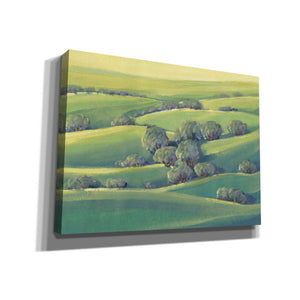 'Hillside View II' by Tim O'Toole, Canvas Wall Art