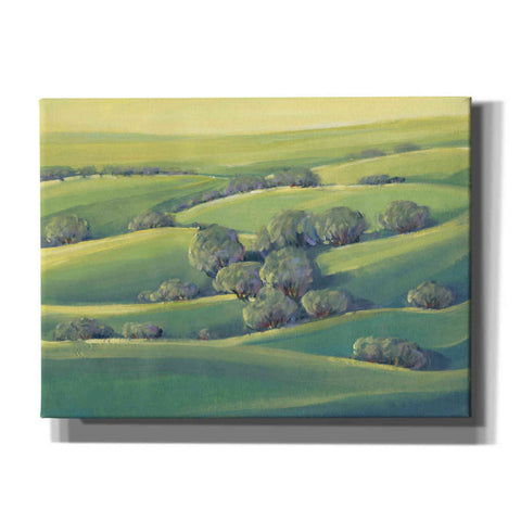 Image of 'Hillside View II' by Tim O'Toole, Canvas Wall Art