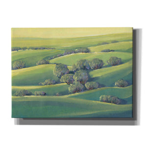 'Hillside View II' by Tim O'Toole, Canvas Wall Art