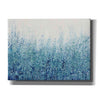 'Misty Blues I' by Tim O'Toole, Canvas Wall Art