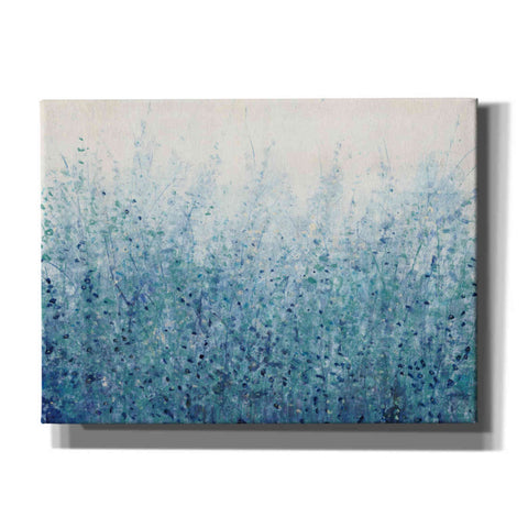Image of 'Misty Blues II' by Tim O'Toole, Canvas Wall Art