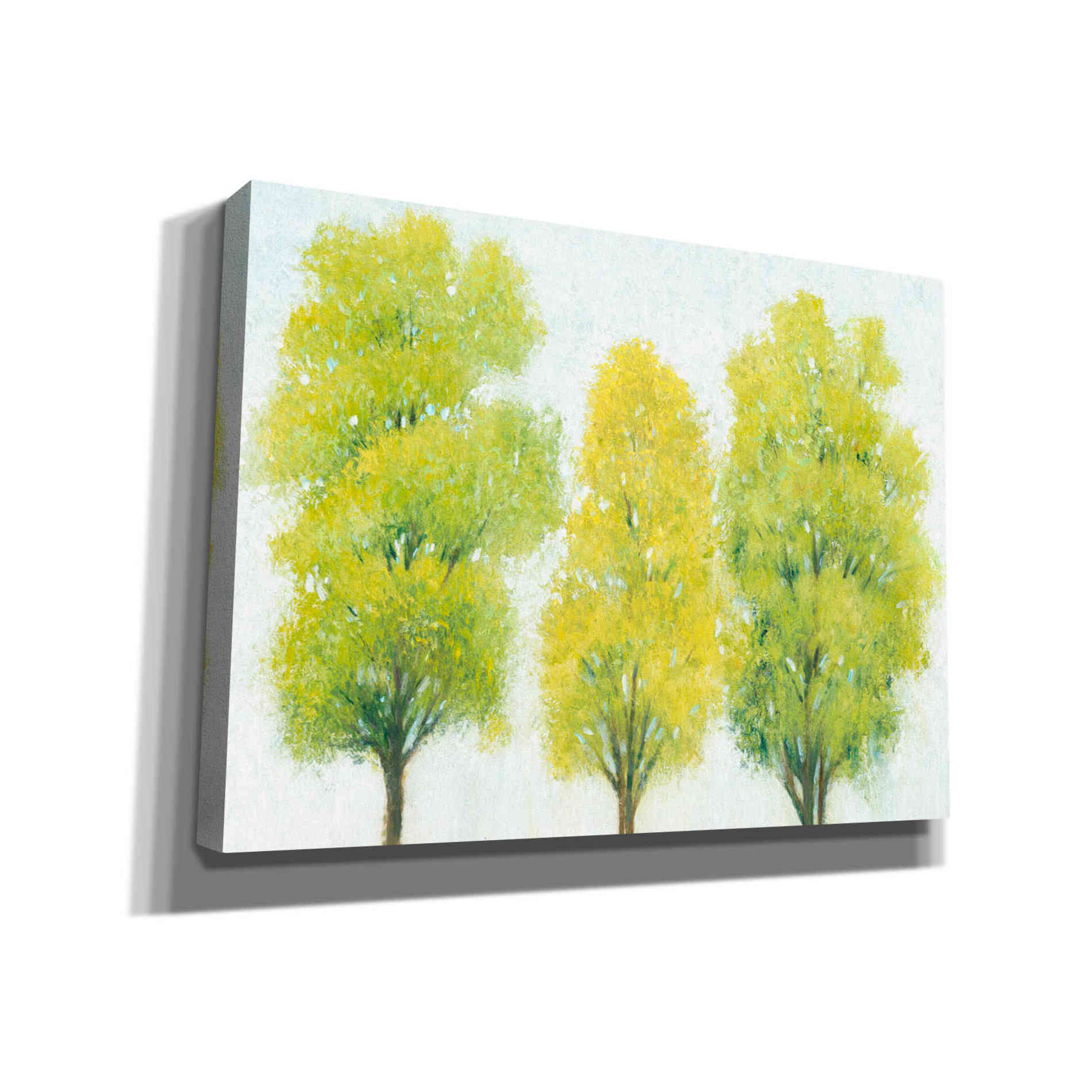 'Spring Eternal II' by Tim O'Toole, Canvas Wall Art