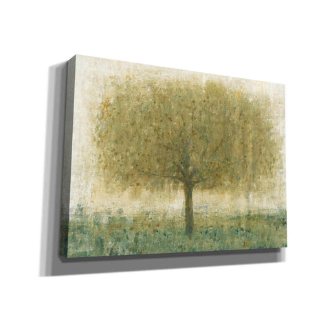 Image of 'Summer Day Tree I' by Tim O'Toole, Canvas Wall Art