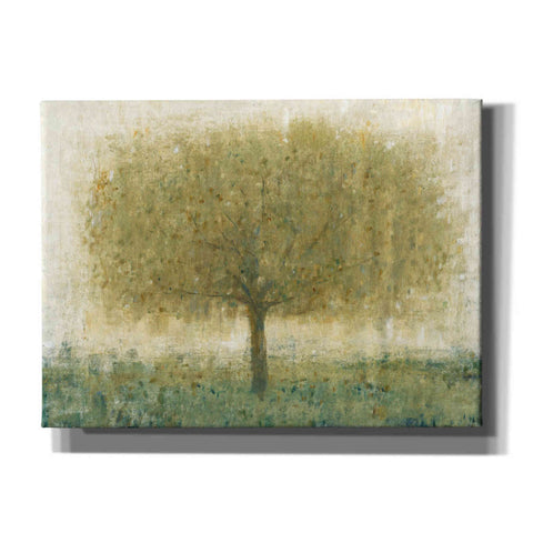 Image of 'Summer Day Tree I' by Tim O'Toole, Canvas Wall Art