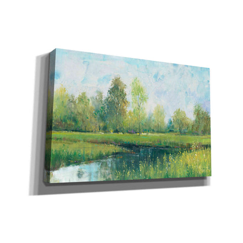 Image of 'Tranquil Park I' by Tim O'Toole, Canvas Wall Art