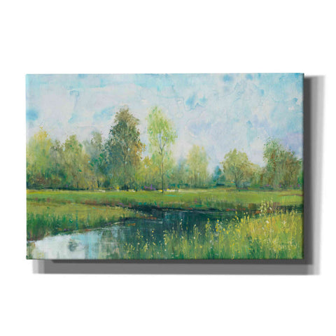 Image of 'Tranquil Park I' by Tim O'Toole, Canvas Wall Art