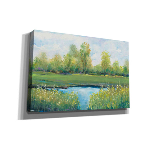 Image of 'Tranquil Park II' by Tim O'Toole, Canvas Wall Art