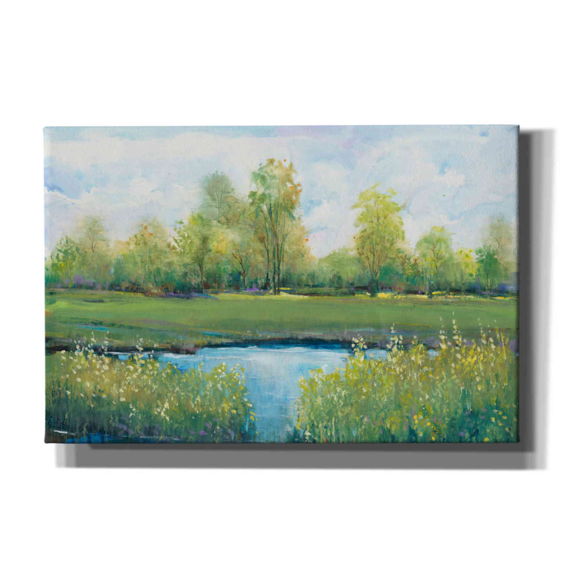 'Tranquil Park II' by Tim O'Toole, Canvas Wall Art