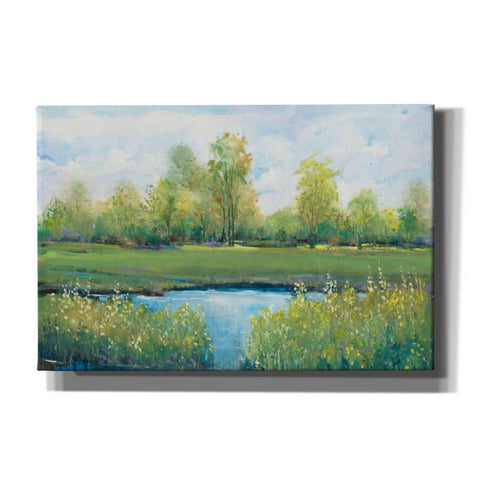 Image of 'Tranquil Park II' by Tim O'Toole, Canvas Wall Art