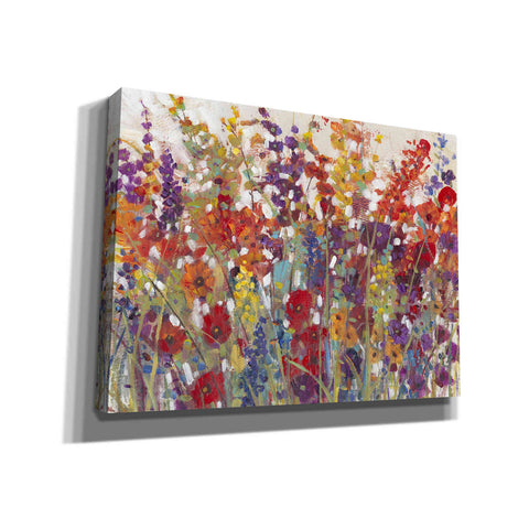 Image of 'Variety of Flowers II' by Tim O'Toole, Canvas Wall Art