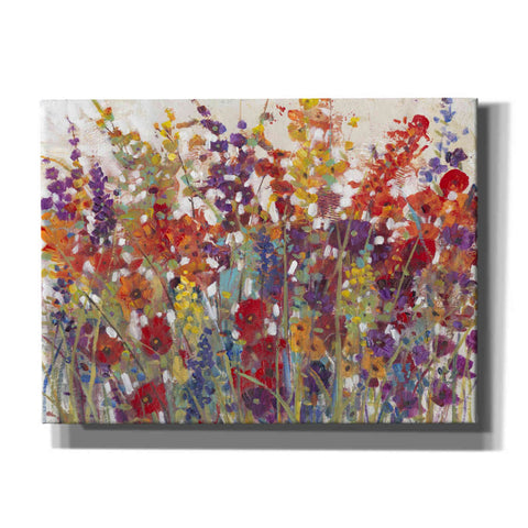 Image of 'Variety of Flowers II' by Tim O'Toole, Canvas Wall Art