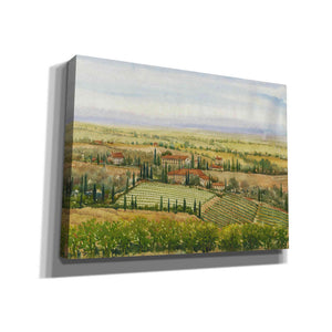'Wine Country View II' by Tim O'Toole, Canvas Wall Art