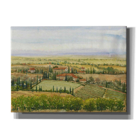 Image of 'Wine Country View II' by Tim O'Toole, Canvas Wall Art