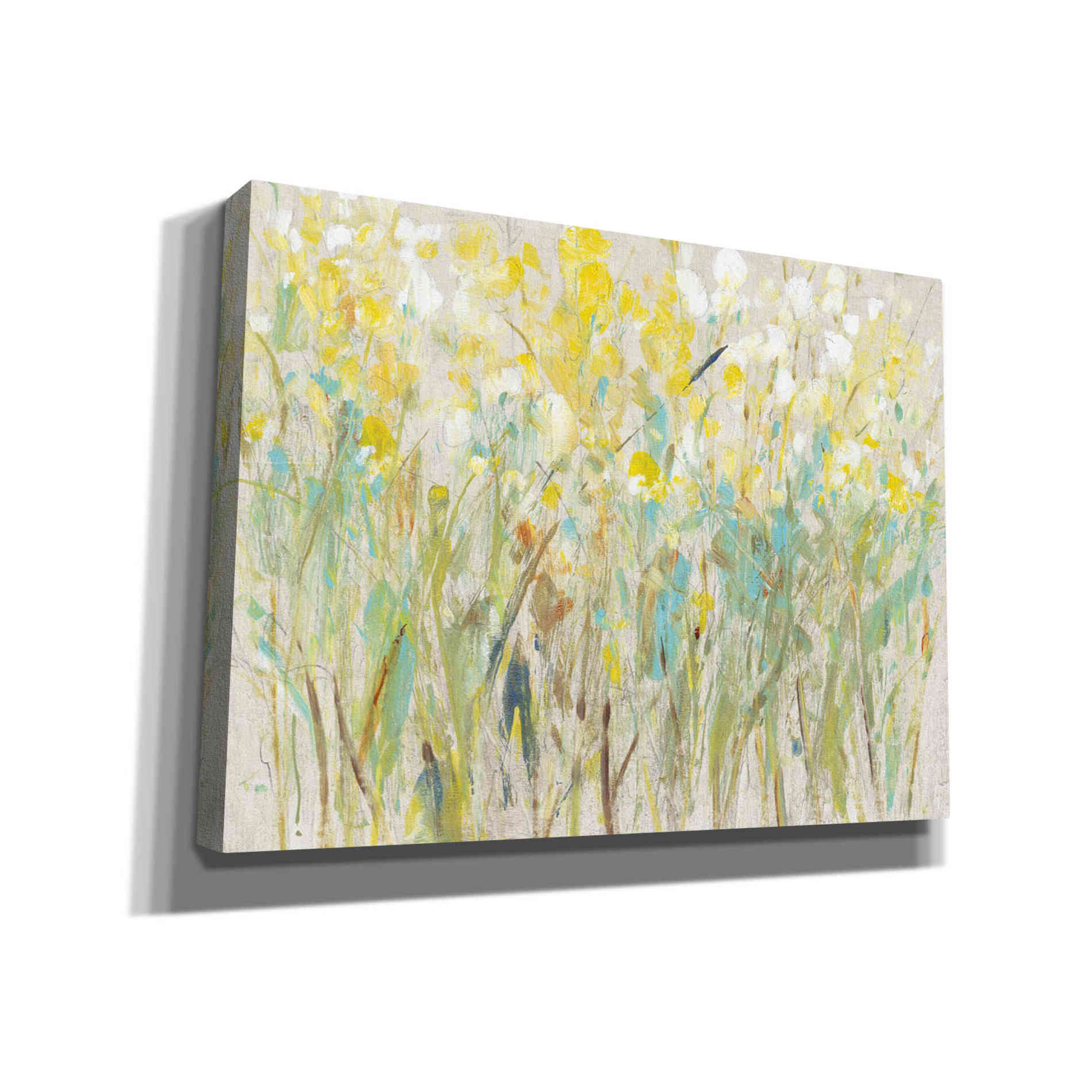 'Floral Cluster I' by Tim O'Toole, Canvas Wall Art