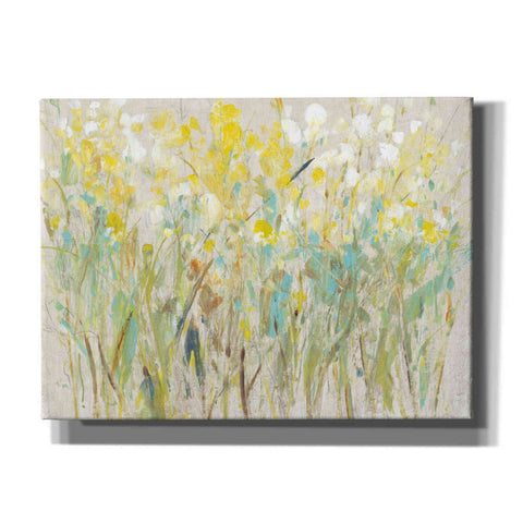 Image of 'Floral Cluster I' by Tim O'Toole, Canvas Wall Art