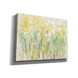 'Floral Cluster II' by Tim O'Toole, Canvas Wall Art