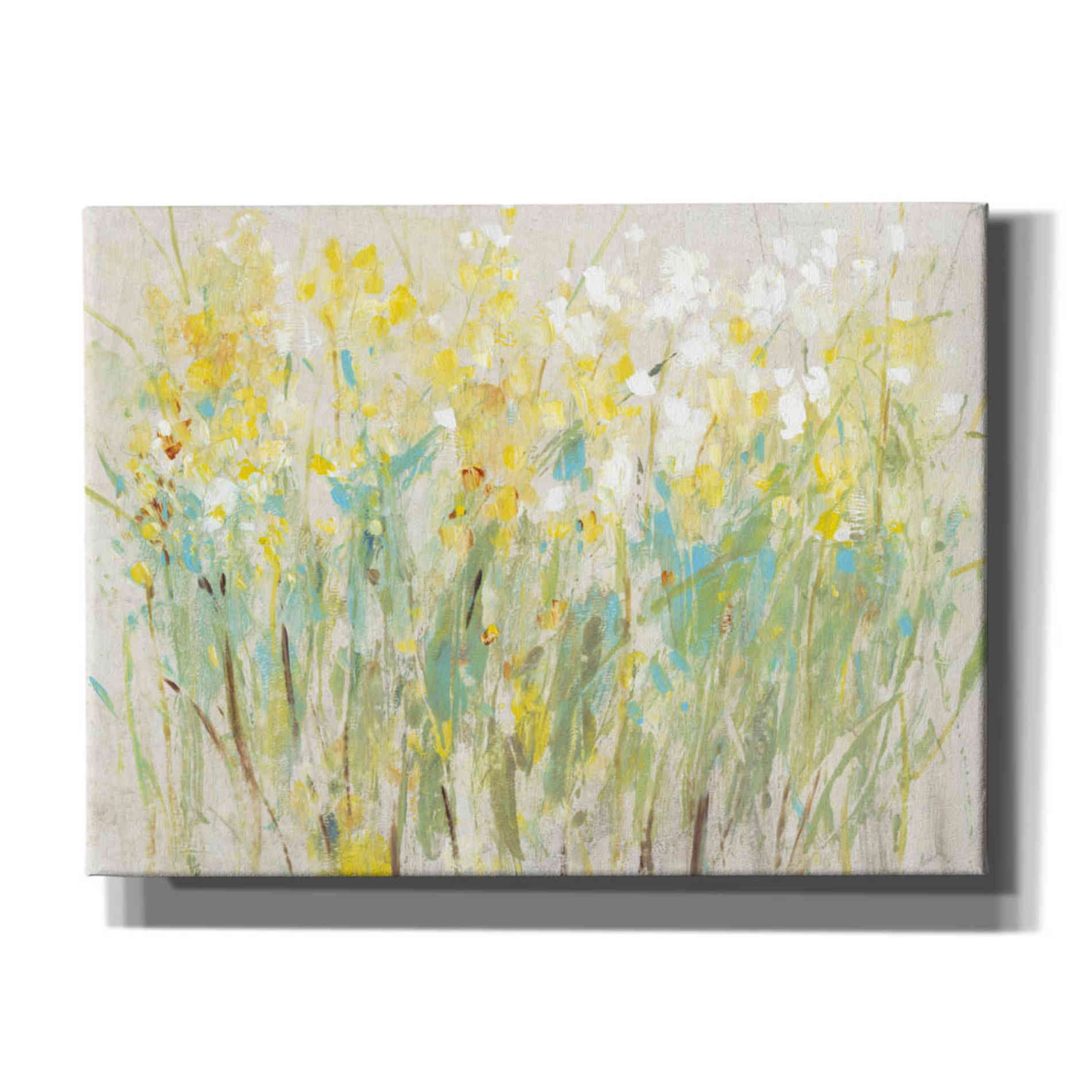 'Floral Cluster II' by Tim O'Toole, Canvas Wall Art