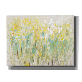 'Floral Cluster II' by Tim O'Toole, Canvas Wall Art