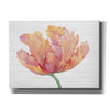 'Single Pink Bloom II' by Tim O'Toole, Canvas Wall Art