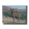 'Animals of the West IV' by Tim O'Toole, Canvas Wall Art