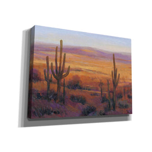 'Desert Light II' by Tim O'Toole, Canvas Wall Art