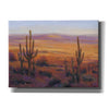 'Desert Light II' by Tim O'Toole, Canvas Wall Art