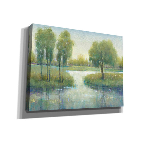 Image of 'Winding River I' by Tim O'Toole, Canvas Wall Art