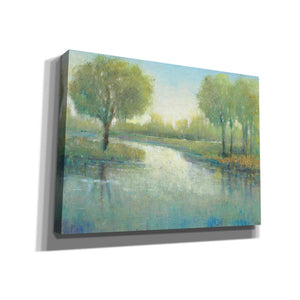 'Winding River II' by Tim O'Toole, Canvas Wall Art