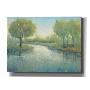 'Winding River II' by Tim O'Toole, Canvas Wall Art