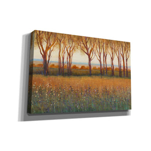 'Glow in the Afternoon I' by Tim O'Toole, Canvas Wall Art
