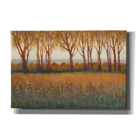 Image of 'Glow in the Afternoon I' by Tim O'Toole, Canvas Wall Art