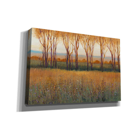 Image of 'Glow in the Afternoon II' by Tim O'Toole, Canvas Wall Art