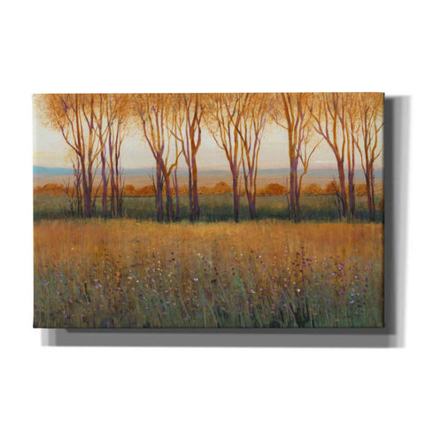 Image of 'Glow in the Afternoon II' by Tim O'Toole, Canvas Wall Art